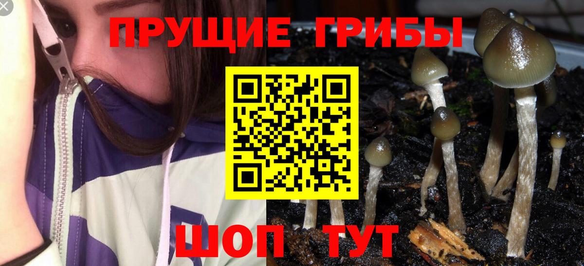 Псилоцибиновые грибы Magic Shrooms  Вход с VPN  Волжский 
